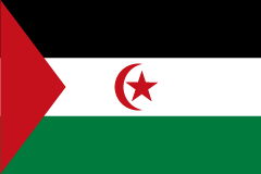 西サハラ サハラ アラブ民主共和国 タディの国旗の世界