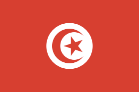 国旗 似たものどうし トルコとチュニジア タディの国旗の世界