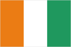 「アイルランド 国旗」の画像検索結果
